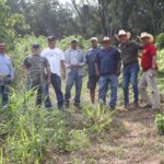 Subseder se reúne con productores de mango en Manzanillo; supervisan operación de infraestructura