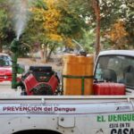 Secretaría de Salud fumiga contra dengue este jueves en Colima y Manzanillo