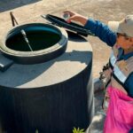 Exhorta Salud Colima a eliminar criaderos del mosco transmisor del dengue