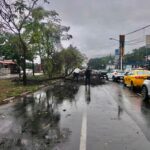 Policia Municipal de Colima atiende árbol caído en Genoveva Sánchez y avenida Tecnológico